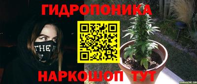 круглые Ставрополь