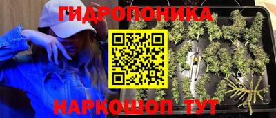 круглые Ставрополь