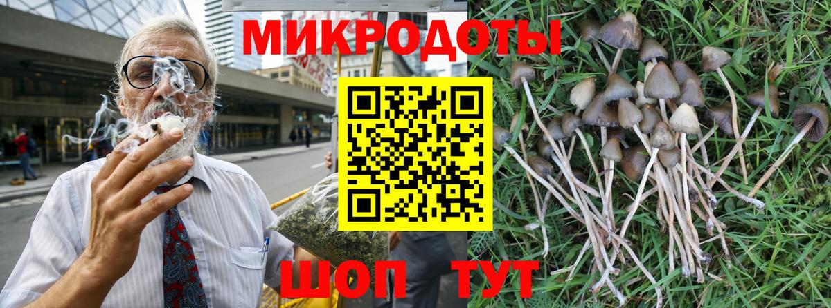 Псилоцибиновые грибы Psilocybe Нижневартовск